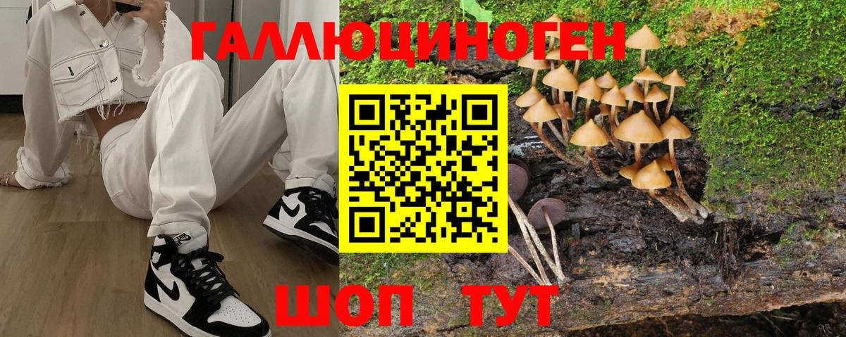 Галлюциногенные грибы прущие грибы  Вход с VPN  Ступино  Галлюциногенные грибы MAGIC MUSHROOMS 