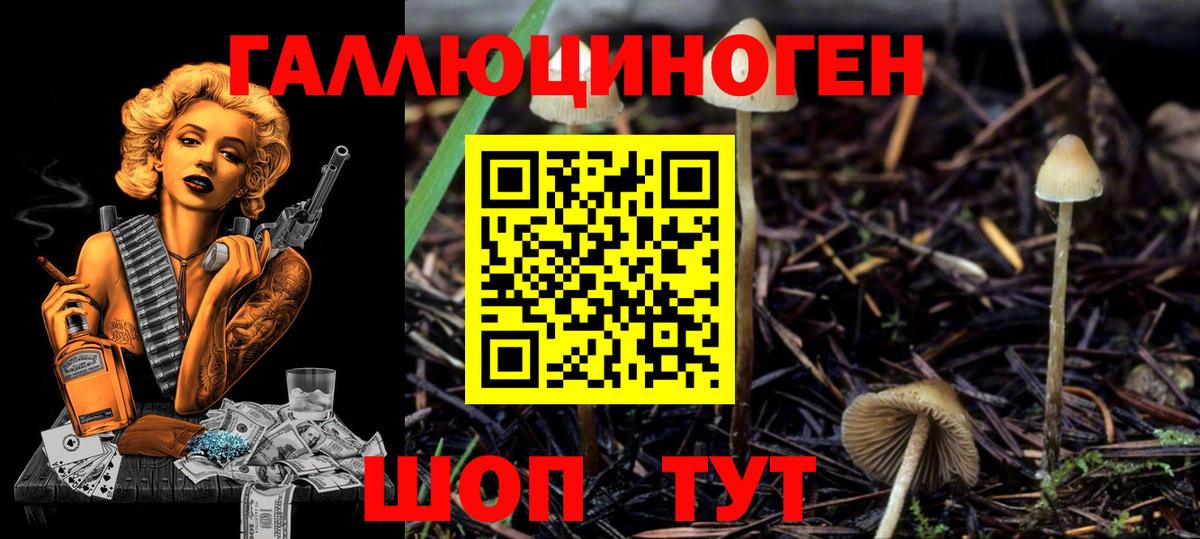 Псилоцибиновые грибы прущие грибы Ступино